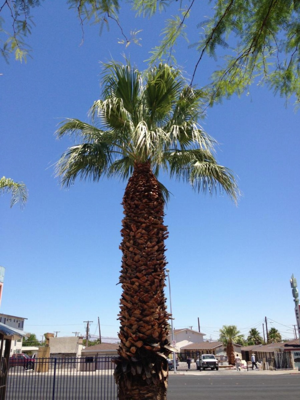 Sterling Gardens Image 11