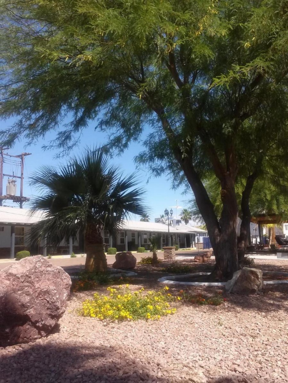 Sterling Gardens Image 28